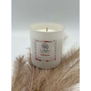 Bougie Hibiscus